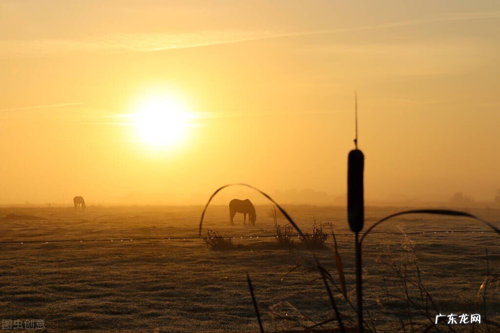 以“过年”为主题写一首年味小诗,怎么写呢?