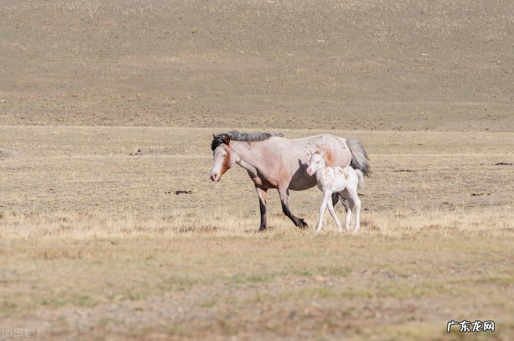 以“过年”为主题写一首年味小诗,怎么写呢?