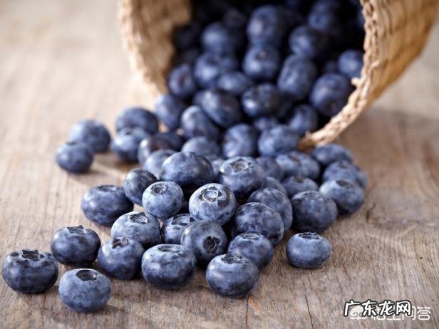 水果怎样可以保存的时间久一点?