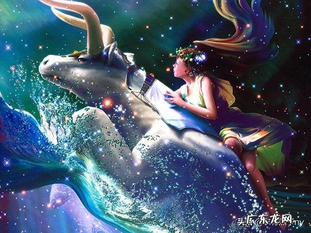 金牛座女与金牛座男配对指数如何?