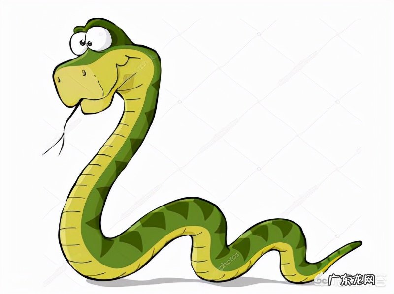 一个人被蟒蛇吞进肚子里,为什么手里有刀,也无法破腹逃出来?-