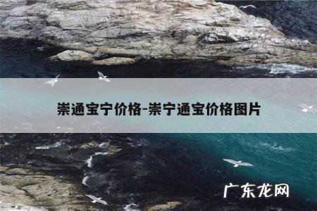 崇通宝宁价格-崇宁通宝价格图片