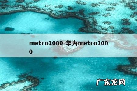 metro1000-华为metro1000