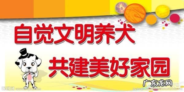恶犬连咬5人被击毙,被咬女孩:不敢走这条路做梦都怕,如何宣传禁狗令?