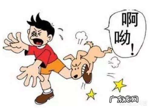 恶犬连咬5人被击毙,被咬女孩:不敢走这条路做梦都怕,如何宣传禁狗令?