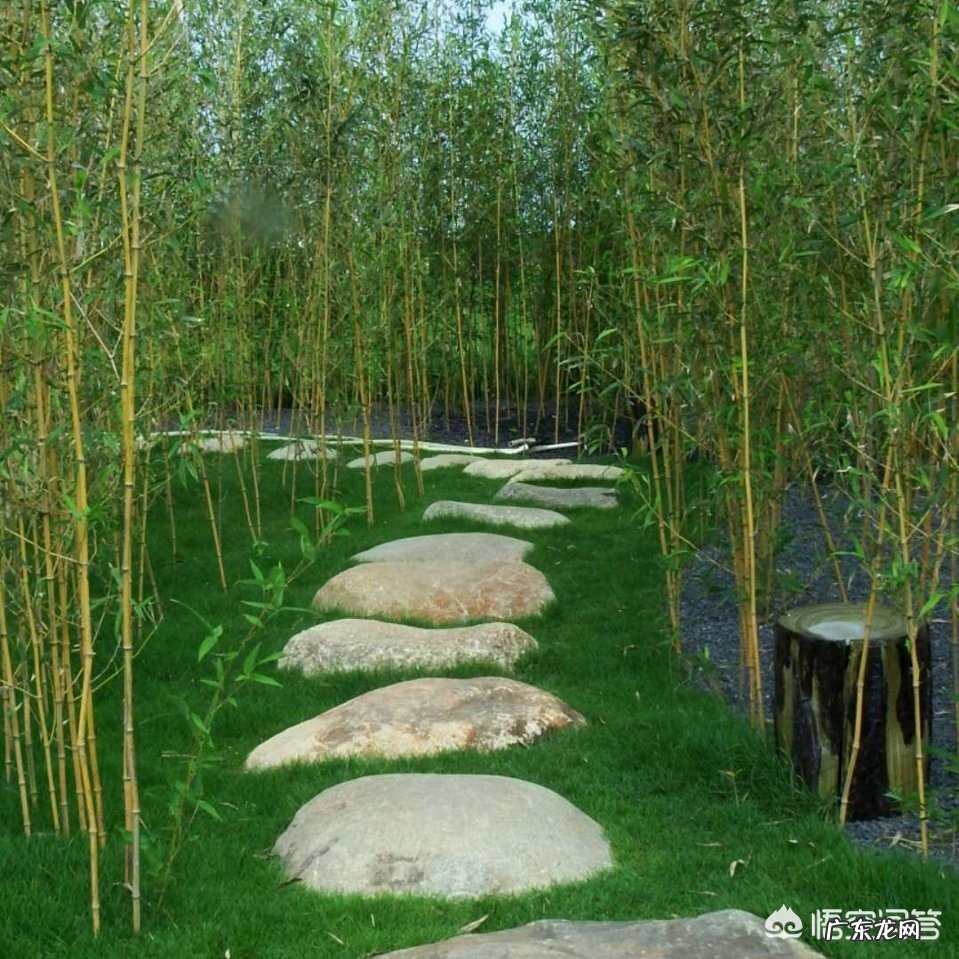 下联：远山高处暮云低，上联如何对？