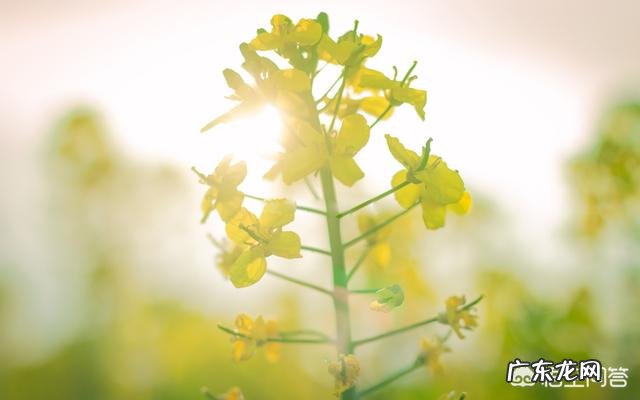 怎样维持即将破碎的婚姻呢?