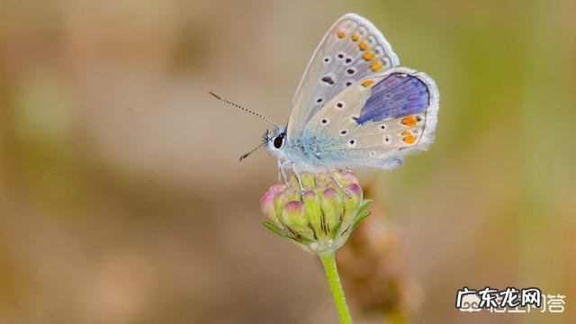 怎样维持即将破碎的婚姻呢?