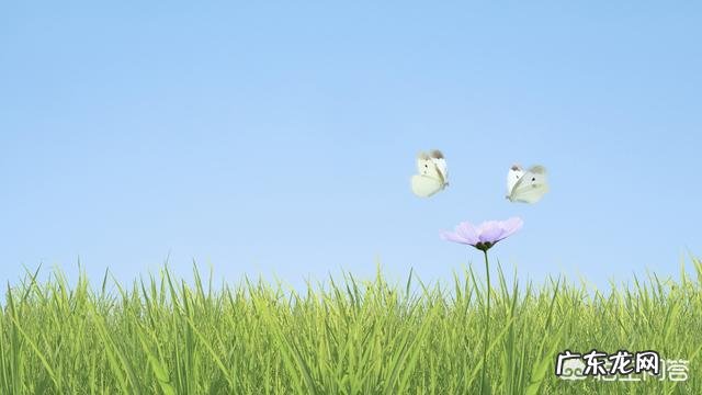 怎样维持即将破碎的婚姻呢?