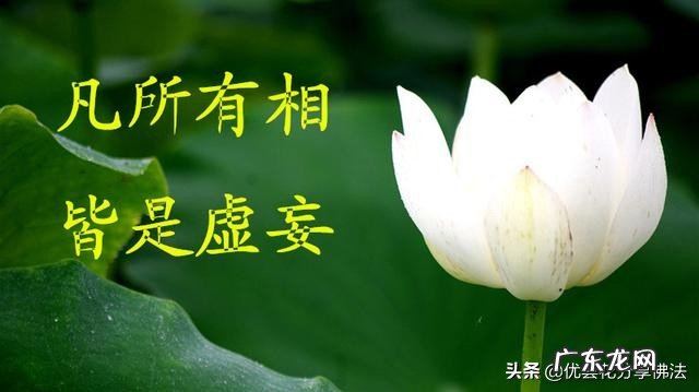 “若菩萨有我相、人相、众生相、寿者相,即非菩萨。”,你有什么看法?