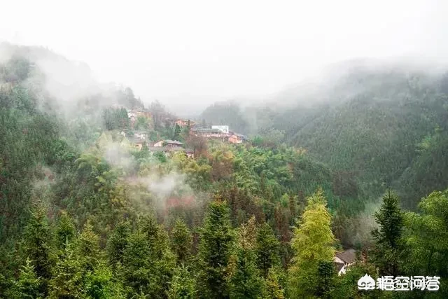 一个人敢独自去自驾游吗?