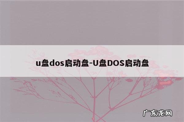 u盘dos启动盘-U盘DOS启动盘