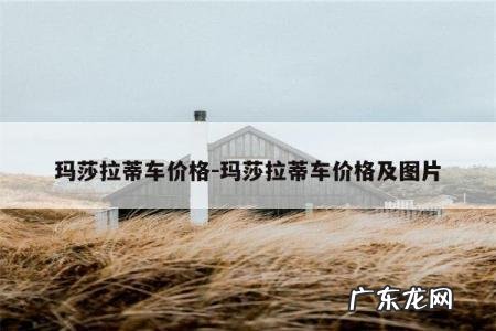 玛莎拉蒂车价格-玛莎拉蒂车价格及图片