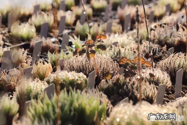 只有读书才可以实现人生价值吗？