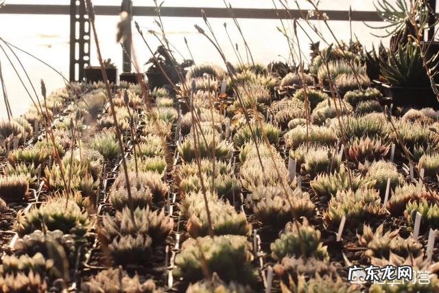 只有读书才可以实现人生价值吗？