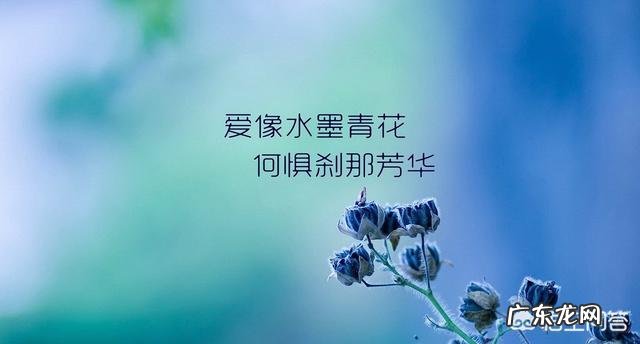 有没有很美好的情话?