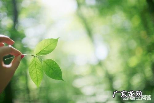 有没有很美好的情话?