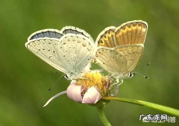 有没有很美好的情话?