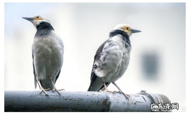 人际关系发生冲突,如何处理?