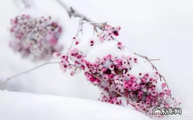 冬至的来历是什么？