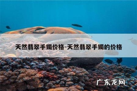 天然翡翠手镯价格-天然翡翠手镯的价格