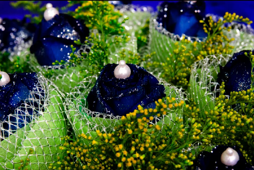 一支蓝色妖姬代表什么？