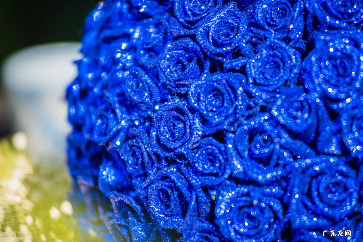 一支蓝色妖姬代表什么？