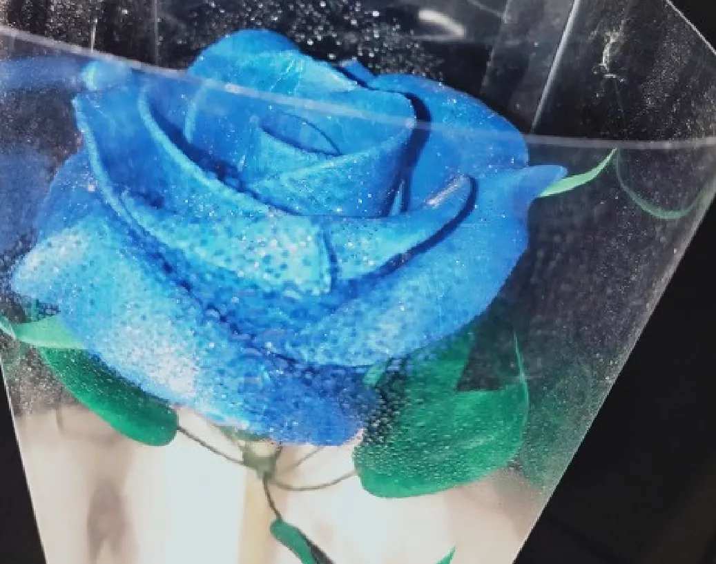 一支蓝色妖姬代表什么？