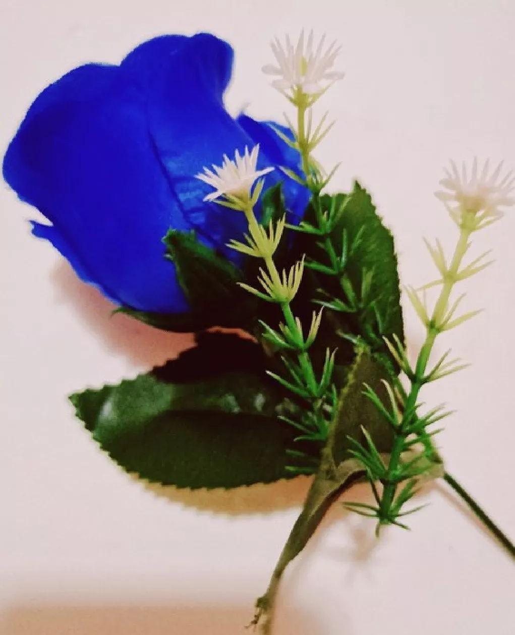 一支蓝色妖姬代表什么？