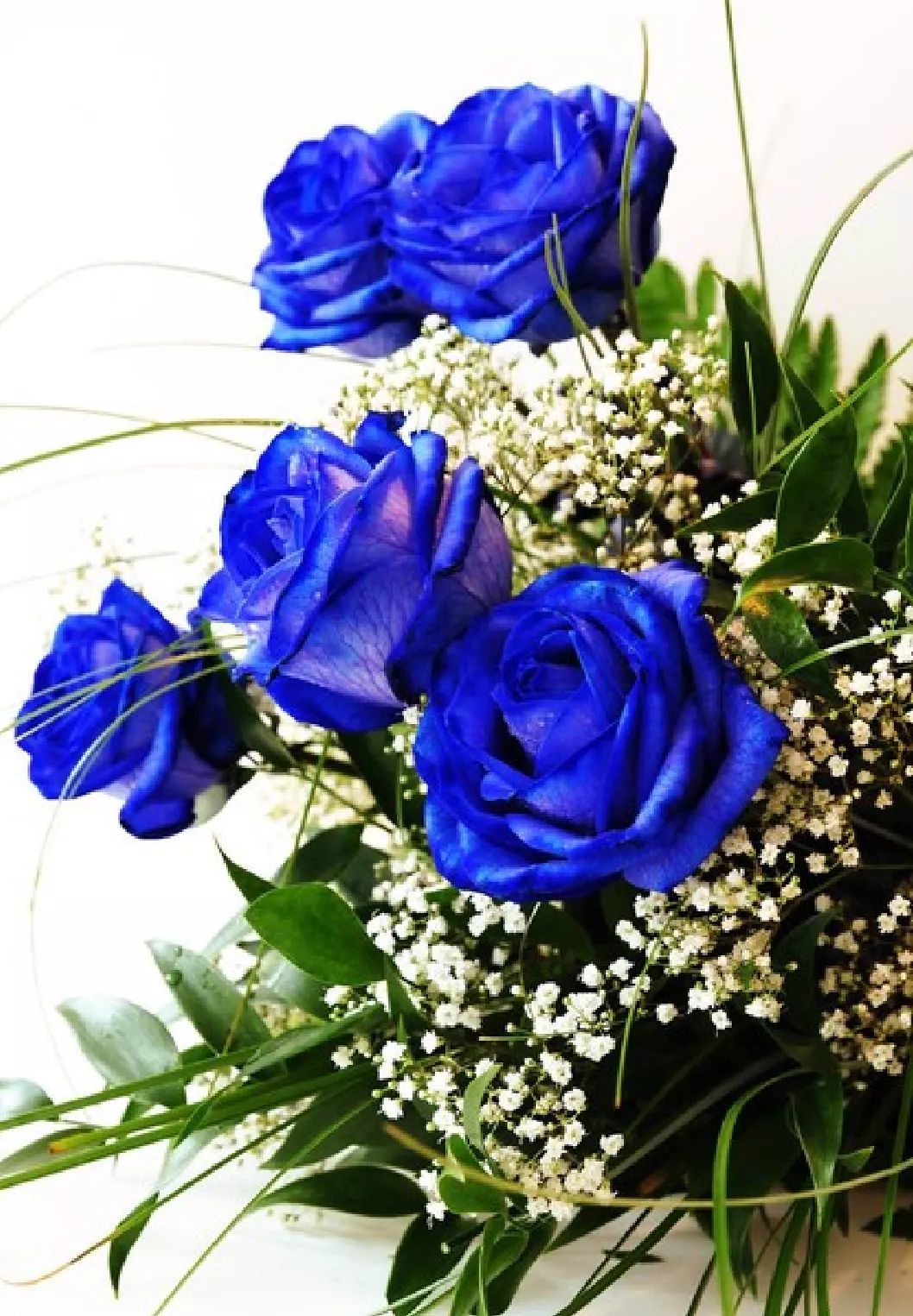 一支蓝色妖姬代表什么？