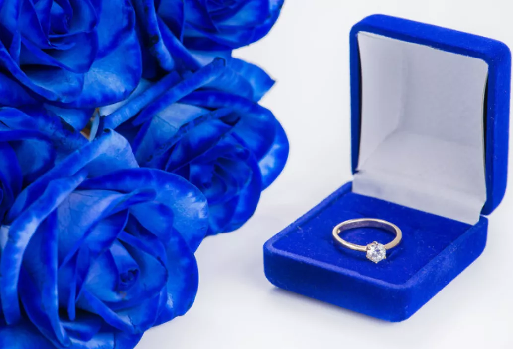 一支蓝色妖姬代表什么？