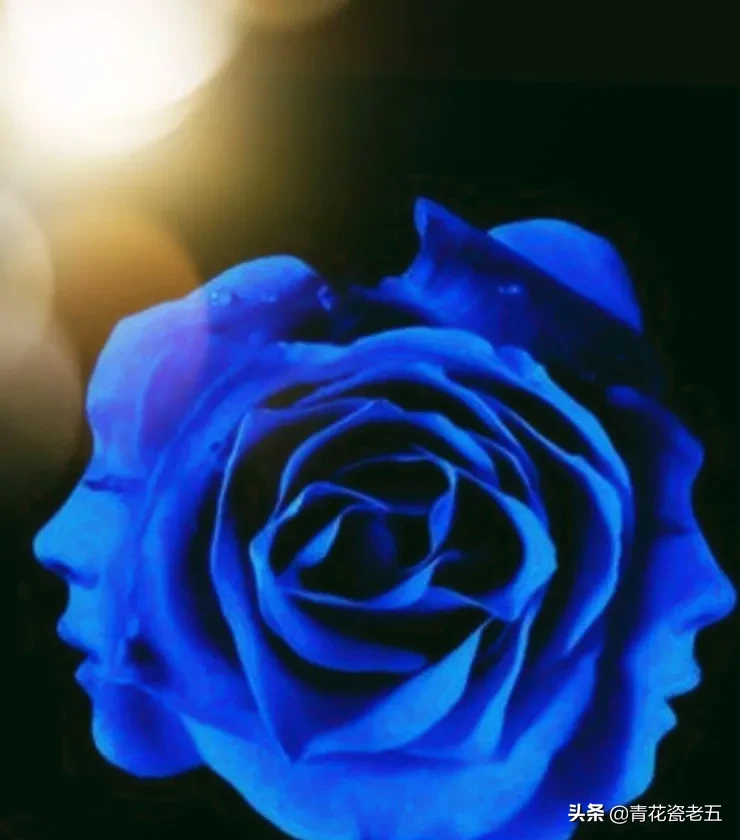 一支蓝色妖姬代表什么?