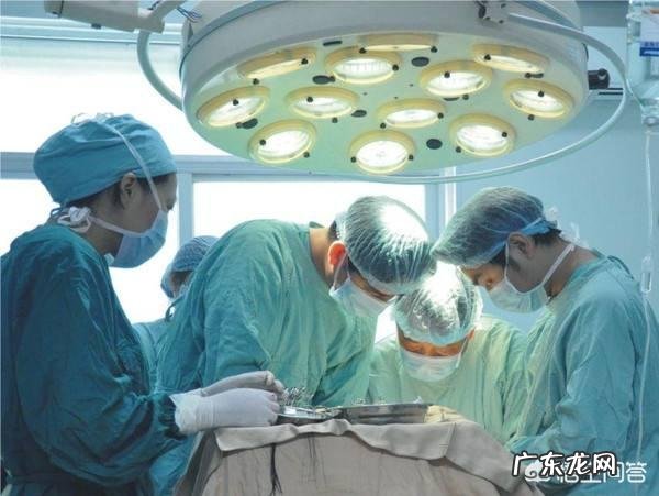 如果在手术中死去会有痛苦吗?