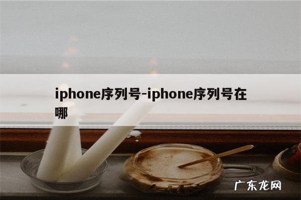 iphone序列号-iphone序列号在哪