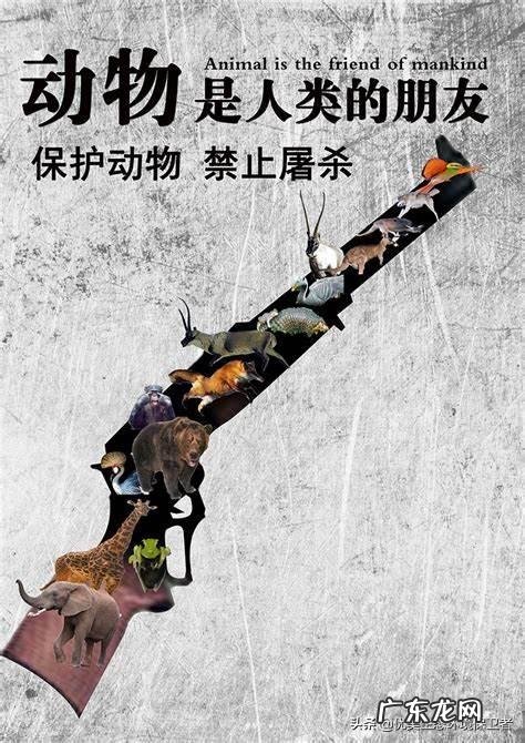 不得吃野生动物,哪些是野生动物?