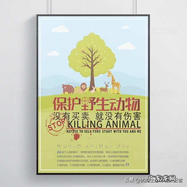 不得吃野生动物,哪些是野生动物?