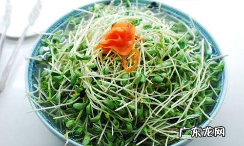 立春吃什么最养生?