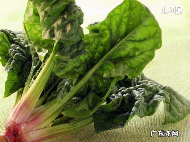 立春吃什么最养生?