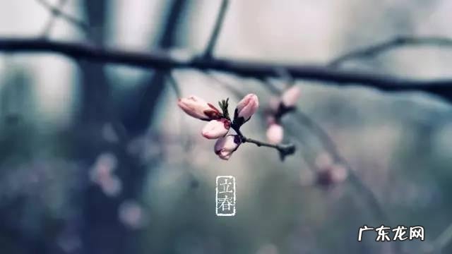 立春吃什么最养生?