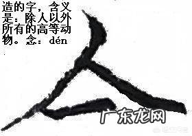 拔罐真的能祛湿吗?