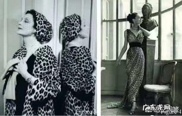 你喜欢豹纹的物品吗?