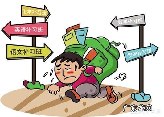 小学暑假假期有必要上辅导班吗?为什么?