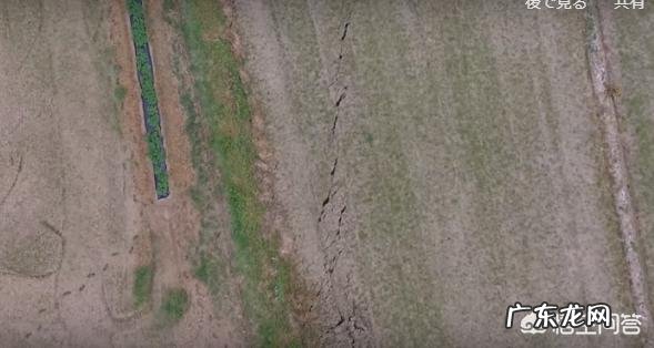 日本境内地震频繁、火山众多,主要原因是什么?