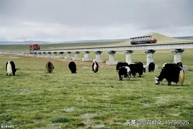 9月7日是袁隆平90岁生日,你想对他说一句什么话呢?