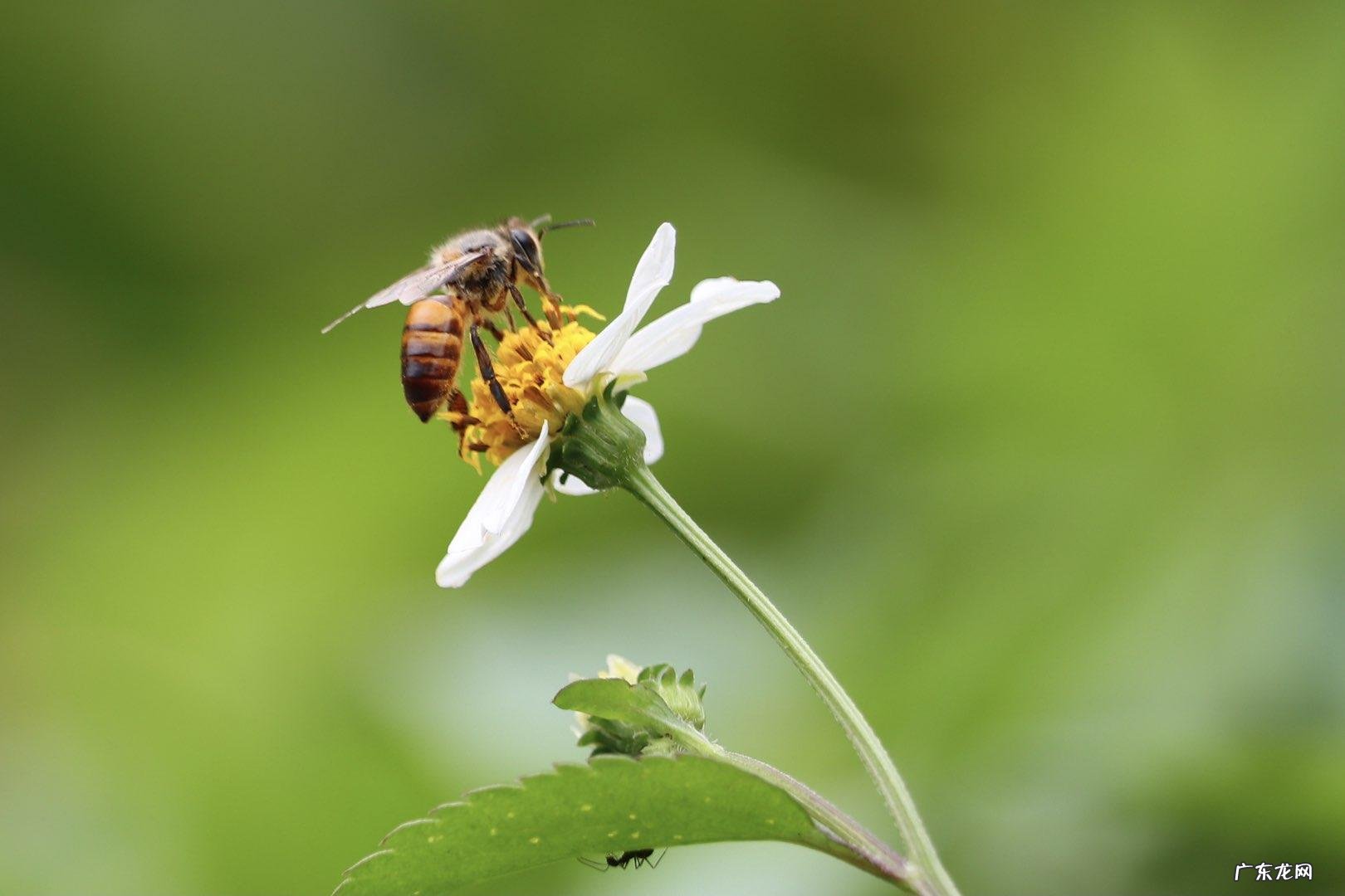 为什么女生身上总有一股香味,而男生却没有?