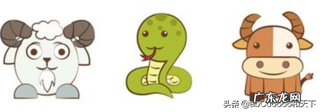 最配对的属相是什么?