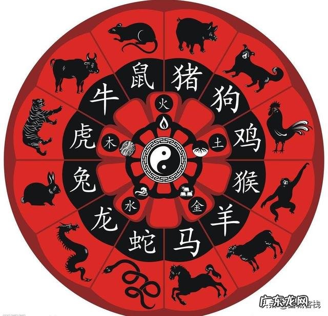 最配对的属相是什么?