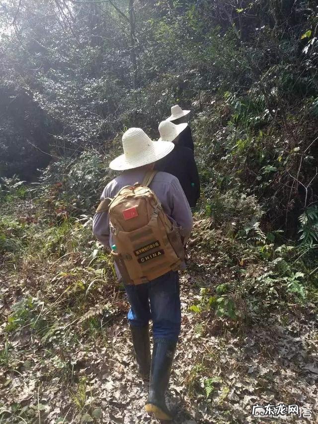 现在去戈壁滩、大江、大河、山区还能捡到石头吗?都需要带什么装备?