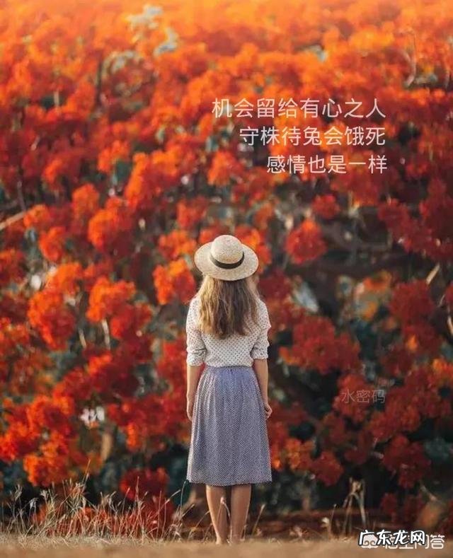 一段十年的恋爱还没有步入婚姻,到底是真爱还是感情有问题?