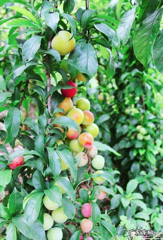 生活在现在这个社会，怎样保持正确的价值观？怎样才是正确的价值观？